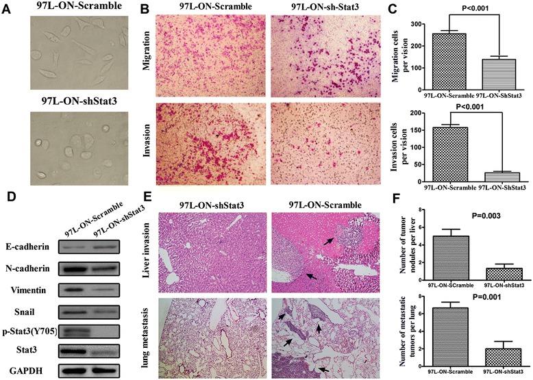 https://cdn.ncbi.nlm.nih.gov/pmc/blobs/c271/4377043/60d032bac583/13045_2015_119_Fig6_HTML.jpg