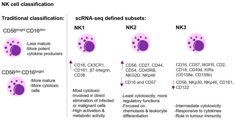 https://cdn.ncbi.nlm.nih.gov/pmc/blobs/c273/12249712/165162bf2093/ijms-26-06290-g001.jpg
