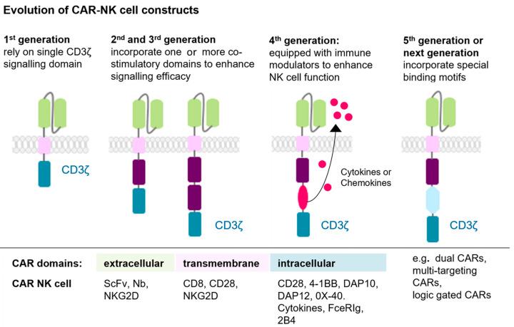 https://cdn.ncbi.nlm.nih.gov/pmc/blobs/c273/12249712/d9e553ca9b4b/ijms-26-06290-g003.jpg