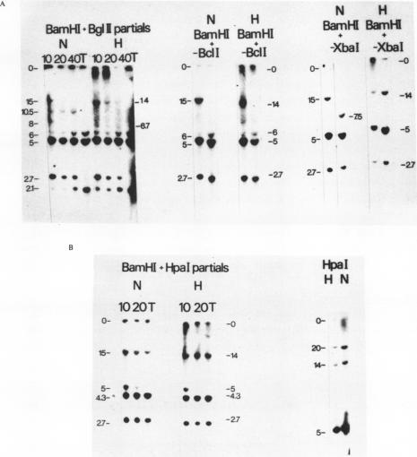 https://cdn.ncbi.nlm.nih.gov/pmc/blobs/c273/324014/5182ea4de75c/nar00424-0088-a.jpg