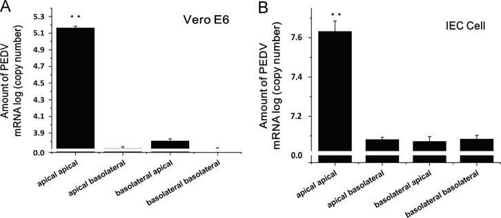 https://cdn.ncbi.nlm.nih.gov/pmc/blobs/c274/7112081/574eb88a7829/gr4_lrg.jpg