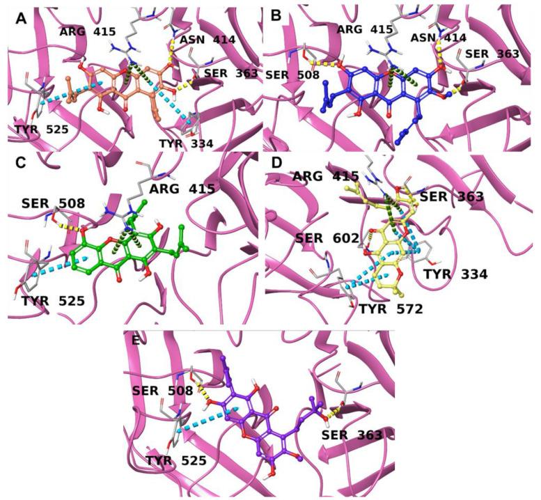 https://cdn.ncbi.nlm.nih.gov/pmc/blobs/c276/10669650/e62922e782e6/antioxidants-12-01980-g002.jpg
