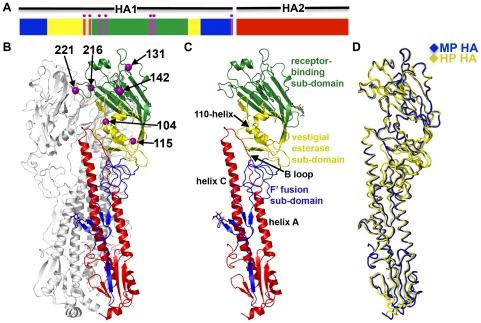 https://cdn.ncbi.nlm.nih.gov/pmc/blobs/c278/3228800/99463c18084d/ppat.1002398.g005.jpg