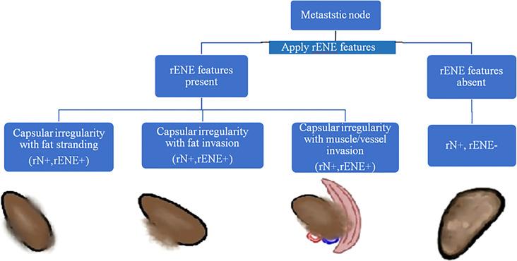 https://cdn.ncbi.nlm.nih.gov/pmc/blobs/c27b/9202501/b20450358e78/fonc-12-814895-g003.jpg