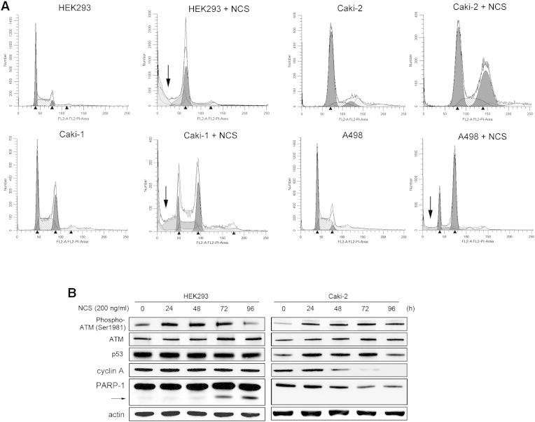 https://cdn.ncbi.nlm.nih.gov/pmc/blobs/c27c/4309250/114dd978c5b8/gr1.jpg