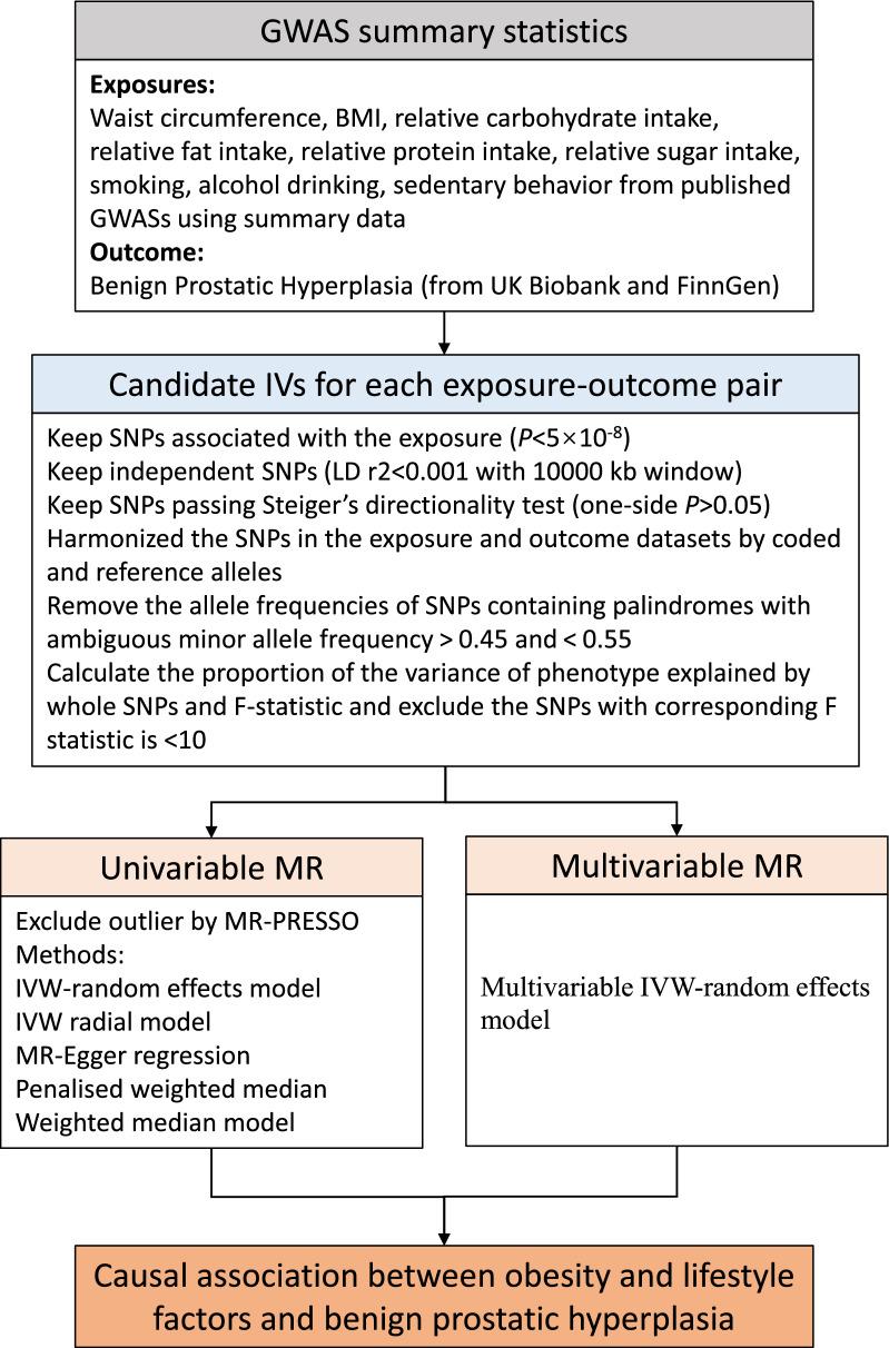 https://cdn.ncbi.nlm.nih.gov/pmc/blobs/c27c/9617448/89e2fdb368fb/12967_2022_3722_Fig2_HTML.jpg