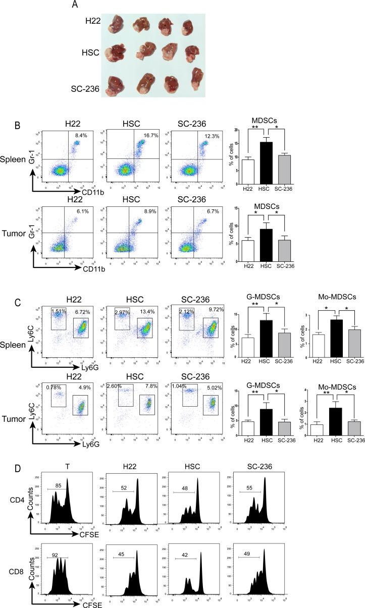 https://cdn.ncbi.nlm.nih.gov/pmc/blobs/c27d/4891010/ac446dd9c555/oncotarget-07-8866-g004.jpg