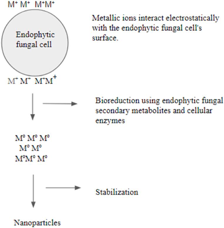 https://cdn.ncbi.nlm.nih.gov/pmc/blobs/c27e/11564013/fb7d0f27d4a5/gr4.jpg