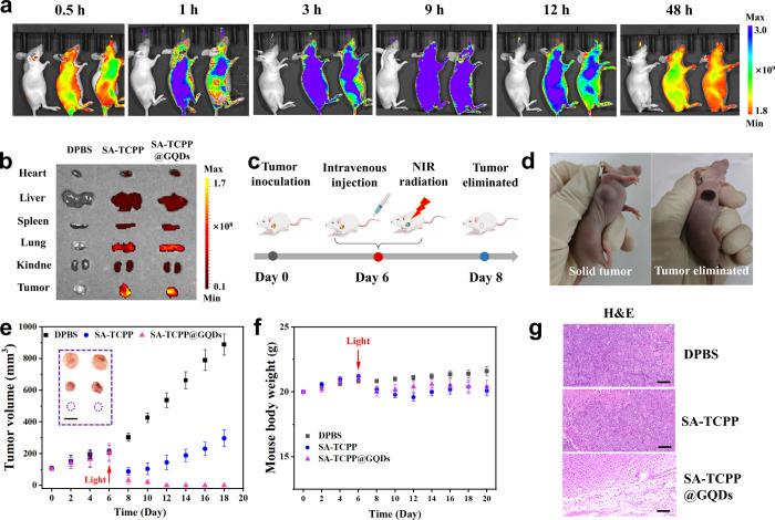 https://cdn.ncbi.nlm.nih.gov/pmc/blobs/c280/12308412/9b6cc3a2d154/au5c00535_0007.jpg