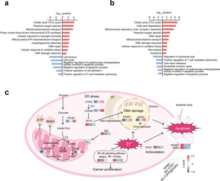 https://cdn.ncbi.nlm.nih.gov/pmc/blobs/c280/12308412/d3423dd39db2/au5c00535_0006.jpg