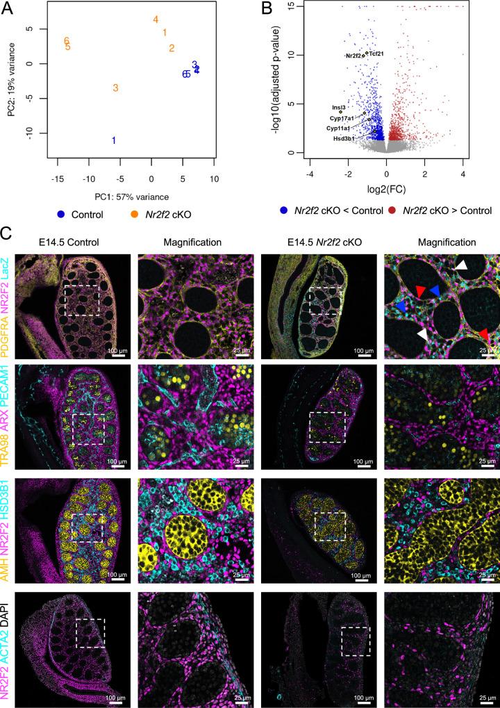 https://cdn.ncbi.nlm.nih.gov/pmc/blobs/c282/12038043/821ce444c470/41467_2025_59183_Fig4_HTML.jpg