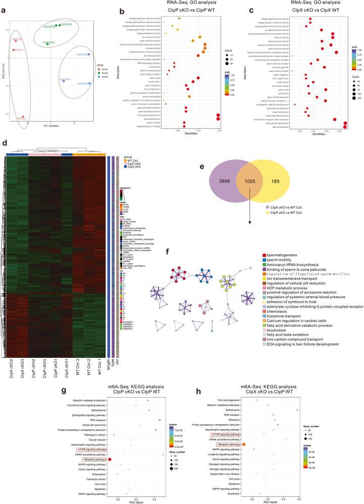 https://cdn.ncbi.nlm.nih.gov/pmc/blobs/c284/10556007/1bd50133d000/42003_2023_5372_Fig7_HTML.jpg