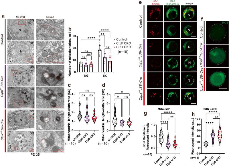 https://cdn.ncbi.nlm.nih.gov/pmc/blobs/c284/10556007/82880fa6b948/42003_2023_5372_Fig6_HTML.jpg