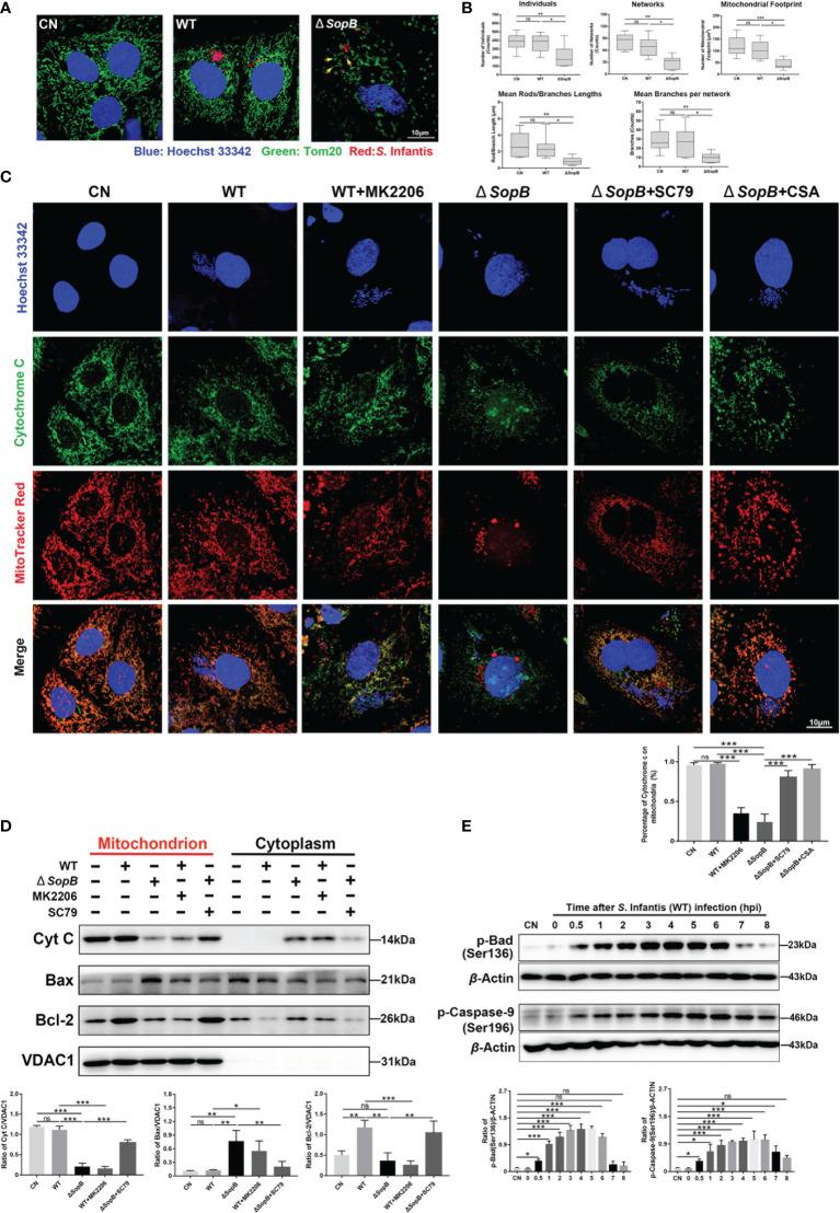 https://cdn.ncbi.nlm.nih.gov/pmc/blobs/c284/8602575/879163b7b8ba/fimmu-12-757909-g004.jpg