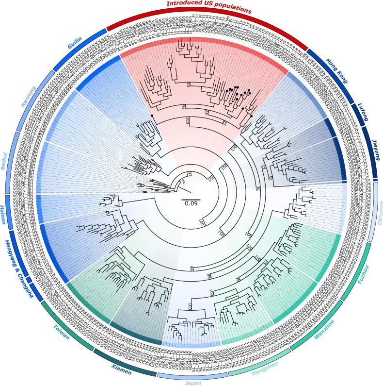 https://cdn.ncbi.nlm.nih.gov/pmc/blobs/c285/7881189/23433206fa79/42003_2021_1725_Fig4_HTML.jpg