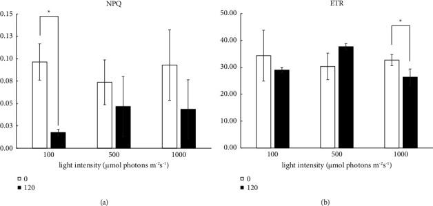 https://cdn.ncbi.nlm.nih.gov/pmc/blobs/c287/10827371/1faeec640402/SCIENTIFICA2024-1898624.005.jpg