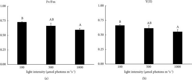 https://cdn.ncbi.nlm.nih.gov/pmc/blobs/c287/10827371/255b0c6cfbd0/SCIENTIFICA2024-1898624.004.jpg