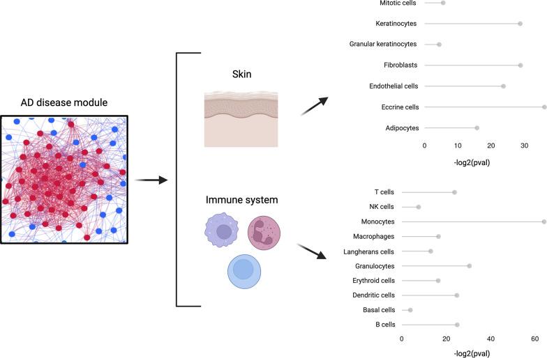 https://cdn.ncbi.nlm.nih.gov/pmc/blobs/c288/10792836/007ccdda1520/12967_2024_4879_Fig3_HTML.jpg