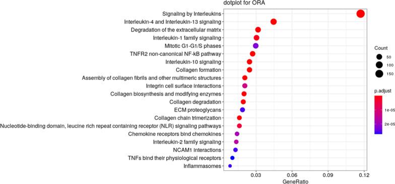 https://cdn.ncbi.nlm.nih.gov/pmc/blobs/c288/10792836/0e8bed2d7825/12967_2024_4879_Fig2_HTML.jpg
