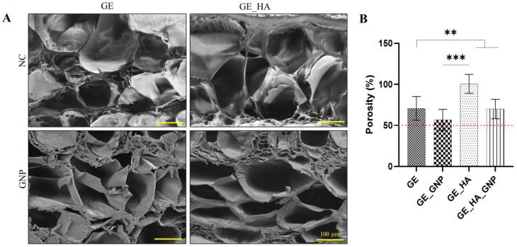 https://cdn.ncbi.nlm.nih.gov/pmc/blobs/c290/12194670/8fb790e1b5cc/jfb-16-00195-g005.jpg