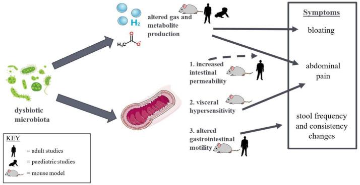 https://cdn.ncbi.nlm.nih.gov/pmc/blobs/c290/9834077/c3e4fc926347/microbiol-08-04-030-g001.jpg