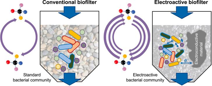 https://cdn.ncbi.nlm.nih.gov/pmc/blobs/c291/11564004/a44ba893993d/ga1.jpg
