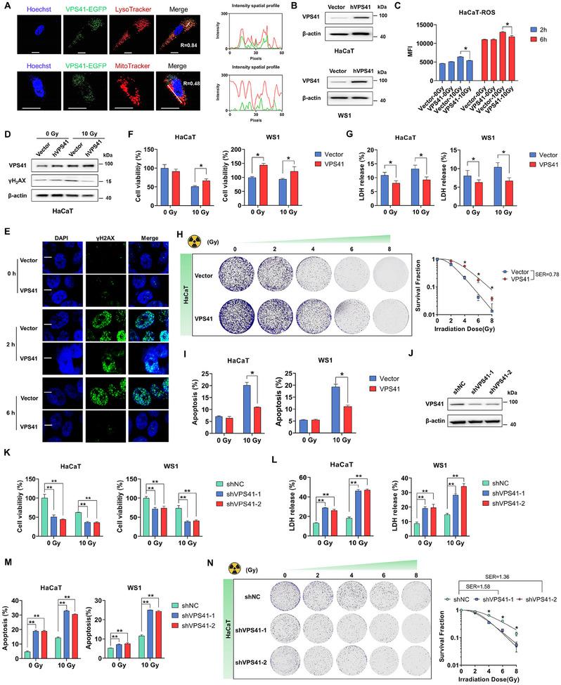 https://cdn.ncbi.nlm.nih.gov/pmc/blobs/c291/12224964/8453e65c38e3/ADVS-12-2501934-g001.jpg