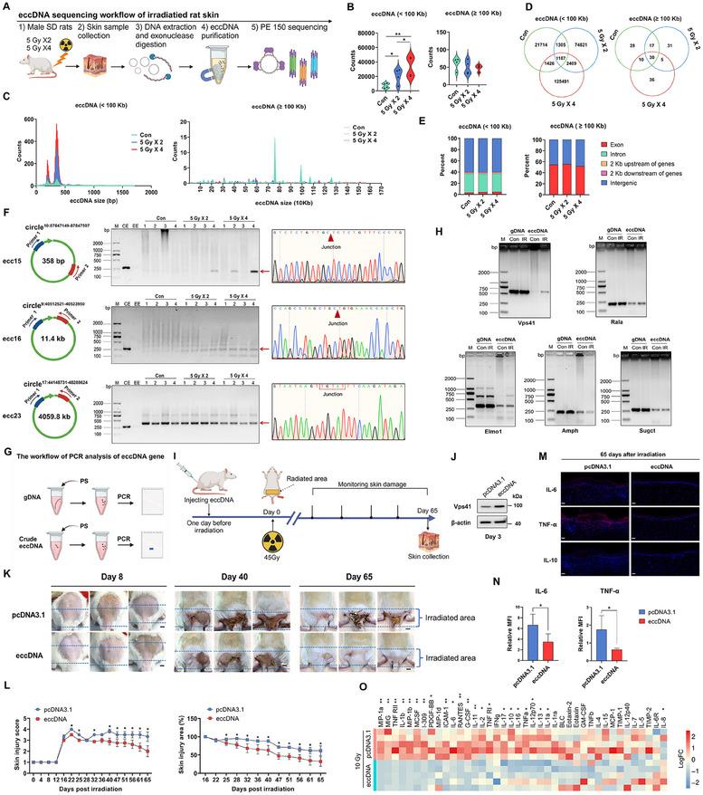 https://cdn.ncbi.nlm.nih.gov/pmc/blobs/c291/12224964/bb95bc1560d0/ADVS-12-2501934-g006.jpg