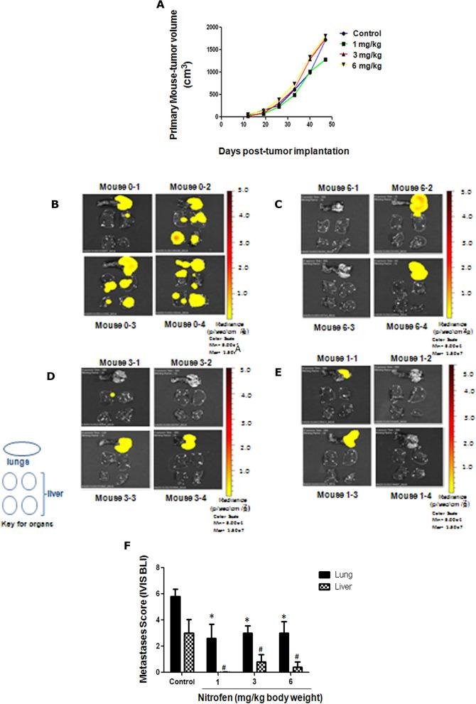 https://cdn.ncbi.nlm.nih.gov/pmc/blobs/c291/8175347/03f40ead1584/41598_2021_91344_Fig2_HTML.jpg