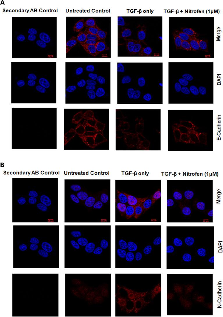 https://cdn.ncbi.nlm.nih.gov/pmc/blobs/c291/8175347/1720e257dda4/41598_2021_91344_Fig3a_HTML.jpg