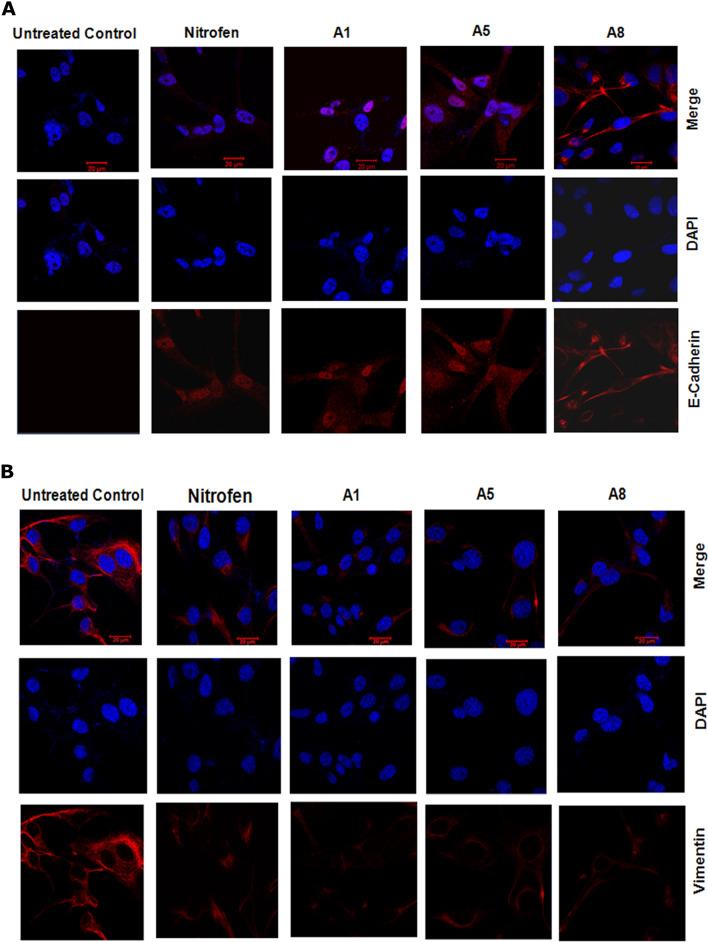 https://cdn.ncbi.nlm.nih.gov/pmc/blobs/c291/8175347/71502fc444fb/41598_2021_91344_Fig7a_HTML.jpg