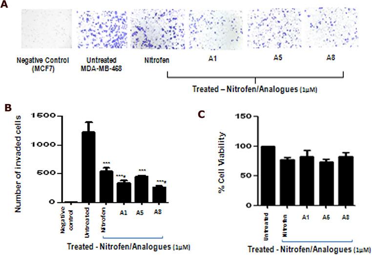 https://cdn.ncbi.nlm.nih.gov/pmc/blobs/c291/8175347/f0c2c18386f6/41598_2021_91344_Fig5_HTML.jpg