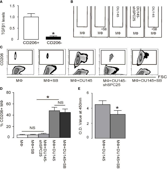 https://cdn.ncbi.nlm.nih.gov/pmc/blobs/c291/9363606/2991d9f605a8/fimmu-13-907636-g005.jpg