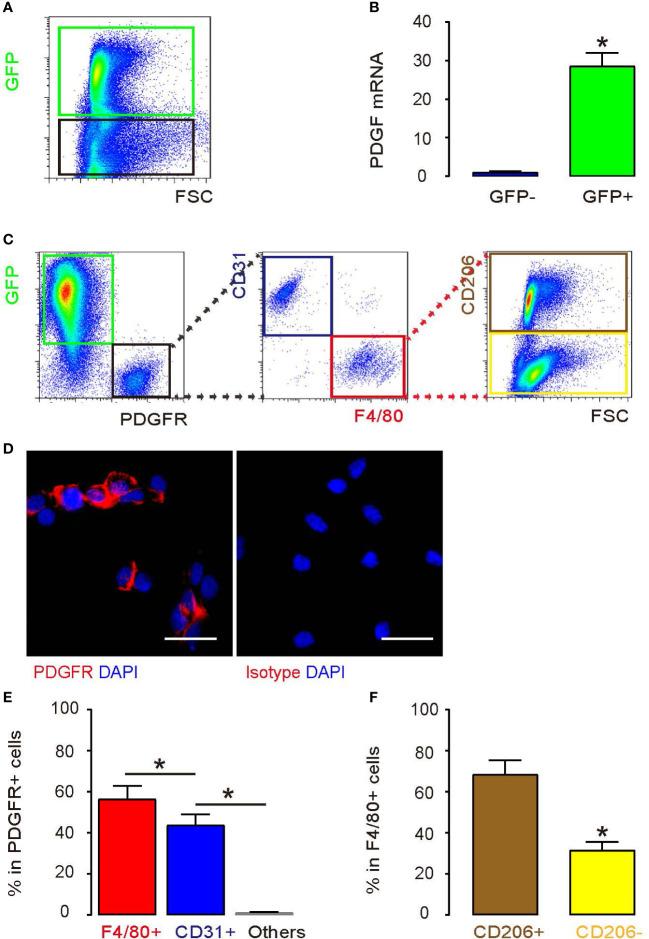 https://cdn.ncbi.nlm.nih.gov/pmc/blobs/c291/9363606/40181a1936d9/fimmu-13-907636-g003.jpg