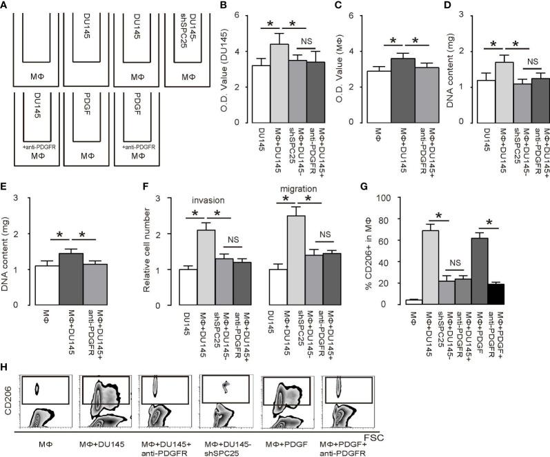 https://cdn.ncbi.nlm.nih.gov/pmc/blobs/c291/9363606/58d7e3ba2c38/fimmu-13-907636-g004.jpg