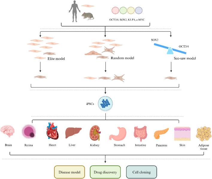 https://cdn.ncbi.nlm.nih.gov/pmc/blobs/c294/11063328/affbda0fb99f/fgene-15-1389558-g001.jpg