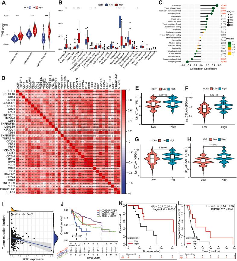 https://cdn.ncbi.nlm.nih.gov/pmc/blobs/c296/11167355/3579771bf682/gr4.jpg