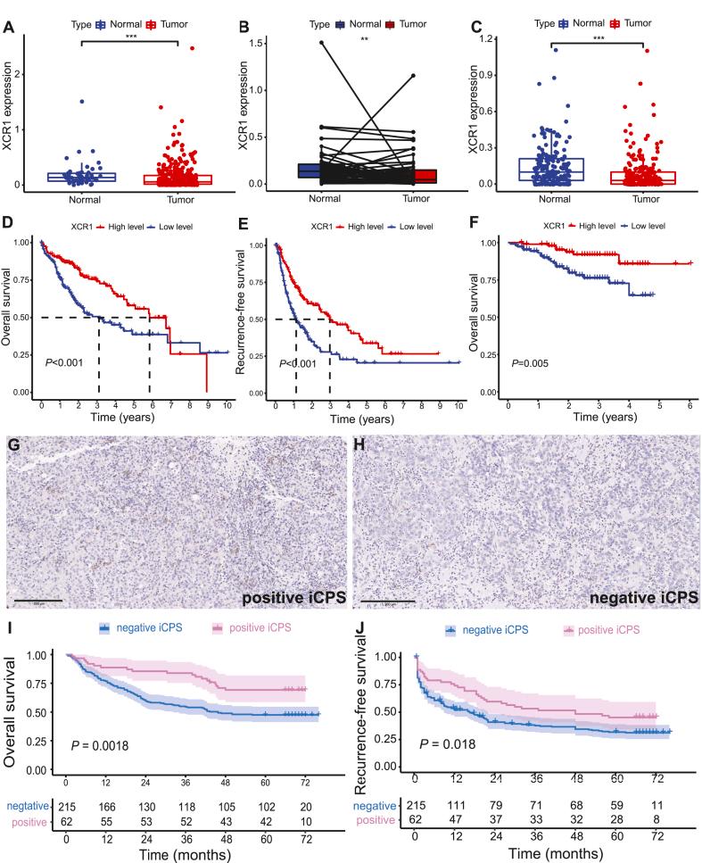 https://cdn.ncbi.nlm.nih.gov/pmc/blobs/c296/11167355/b2387aac0ccb/gr1.jpg