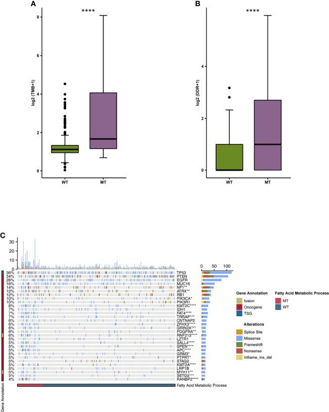 https://cdn.ncbi.nlm.nih.gov/pmc/blobs/c2a0/8894256/69573493aaab/fimmu-13-819515-g004.jpg