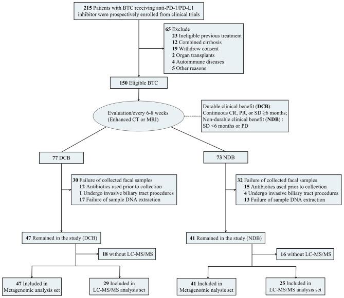 https://cdn.ncbi.nlm.nih.gov/pmc/blobs/c2a2/11149318/0d6efc1ada16/40364_2024_607_Fig1_HTML.jpg
