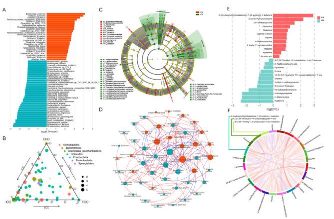https://cdn.ncbi.nlm.nih.gov/pmc/blobs/c2a2/11149318/3c8ec4e1687b/40364_2024_607_Fig2_HTML.jpg