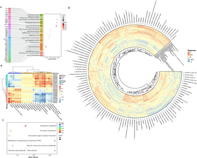https://cdn.ncbi.nlm.nih.gov/pmc/blobs/c2a2/11149318/d9cbb8687904/40364_2024_607_Fig6_HTML.jpg