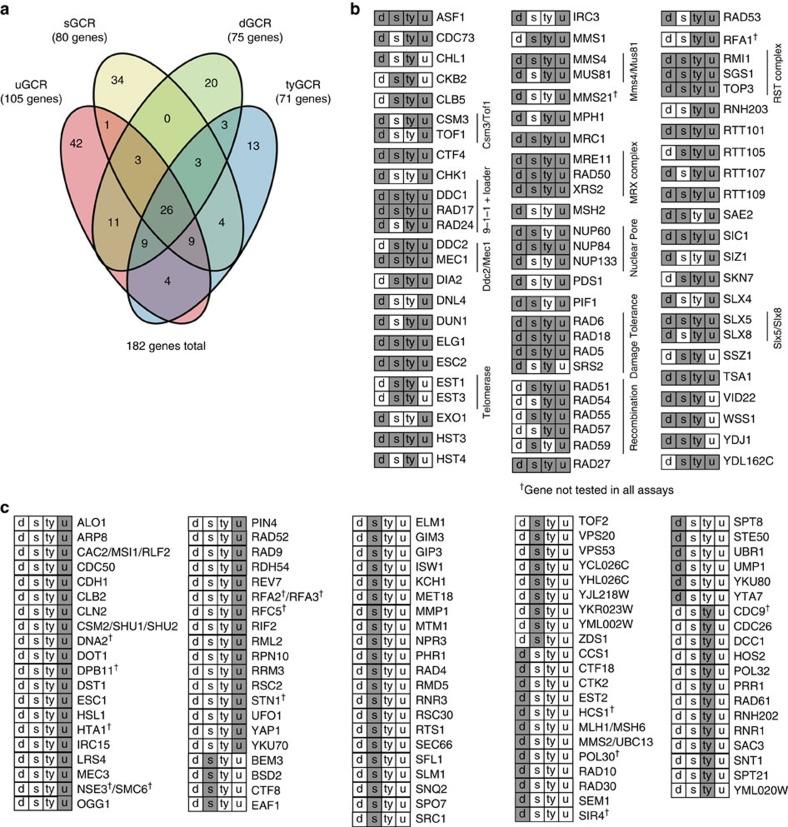 https://cdn.ncbi.nlm.nih.gov/pmc/blobs/c2a4/4833866/ea35e1c5efd9/ncomms11256-f3.jpg