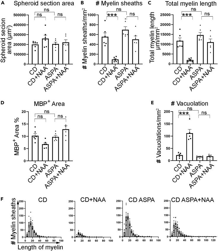 https://cdn.ncbi.nlm.nih.gov/pmc/blobs/c2a5/10589867/1e0c6d35eb64/gr6.jpg