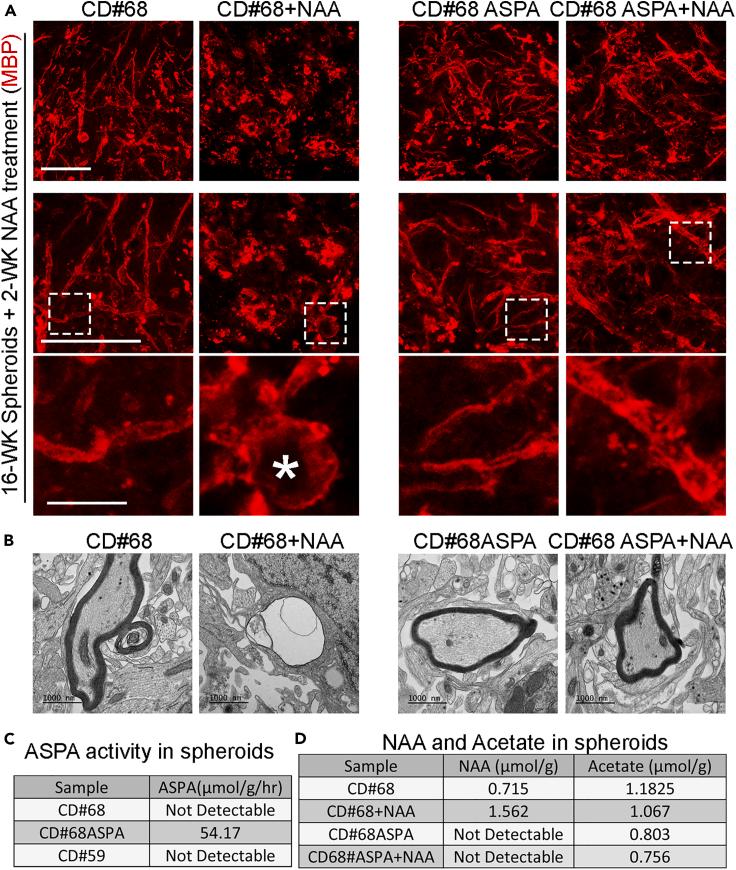https://cdn.ncbi.nlm.nih.gov/pmc/blobs/c2a5/10589867/fb157cb473fe/gr5.jpg