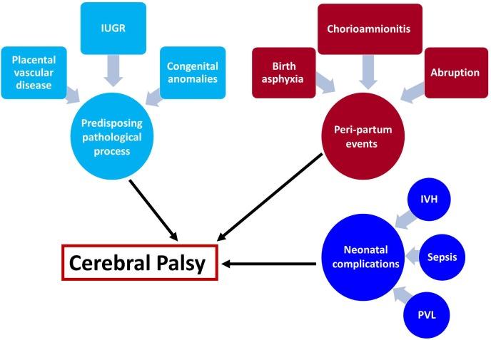 https://cdn.ncbi.nlm.nih.gov/pmc/blobs/c2a8/5304407/b85705ee1bfc/fped-05-00021-g001.jpg