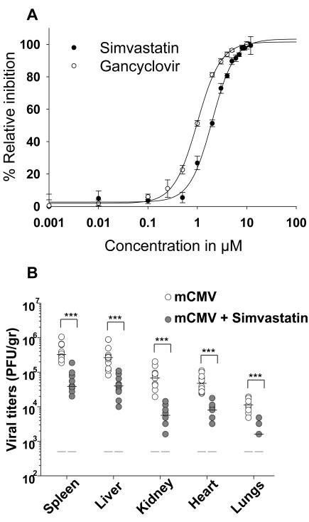 https://cdn.ncbi.nlm.nih.gov/pmc/blobs/c2ab/3050939/6ab21153c8f1/pbio.1000598.g004.jpg