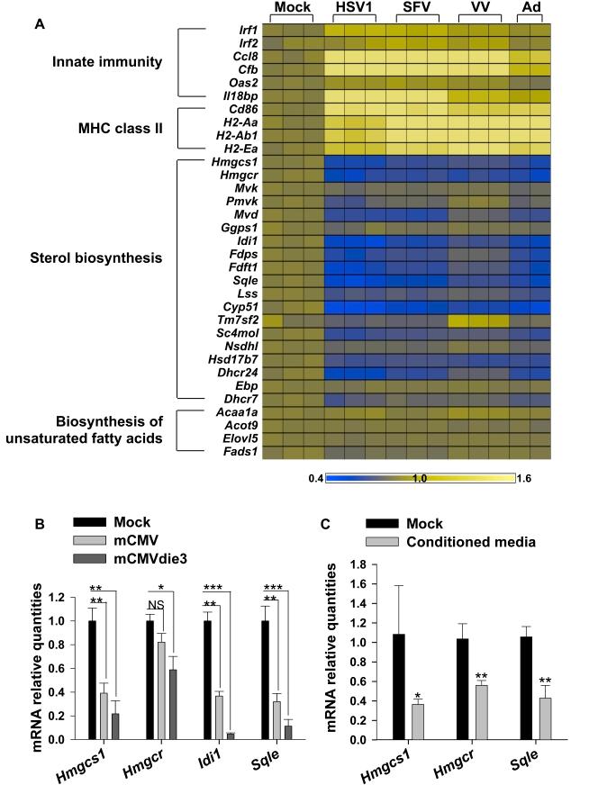 https://cdn.ncbi.nlm.nih.gov/pmc/blobs/c2ab/3050939/9d7253bda5e6/pbio.1000598.g006.jpg