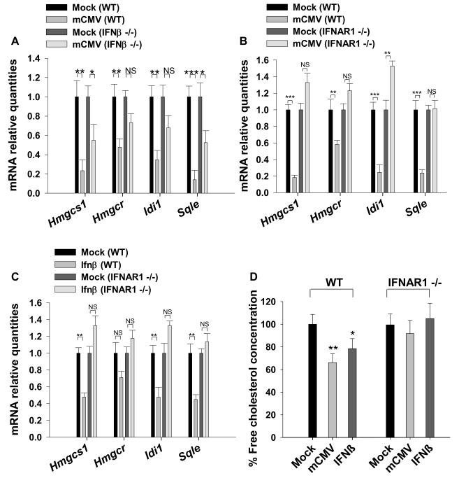 https://cdn.ncbi.nlm.nih.gov/pmc/blobs/c2ab/3050939/e7613d4c898e/pbio.1000598.g007.jpg