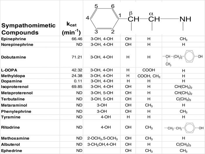https://cdn.ncbi.nlm.nih.gov/pmc/blobs/c2ab/3487338/ed96bf9514b1/jah3-1-e002634-g3.jpg